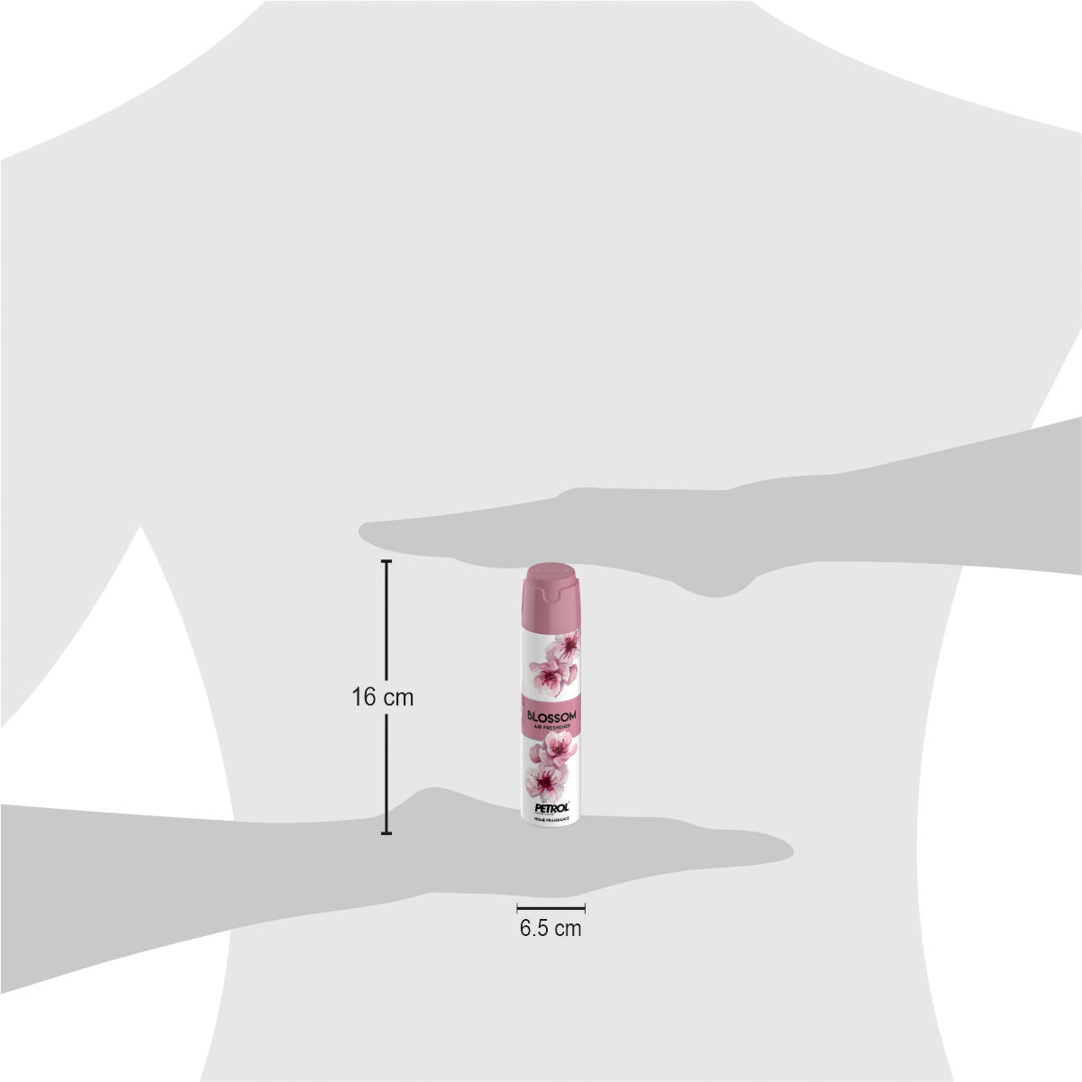 Blossom Air Freshener Spray 250ml