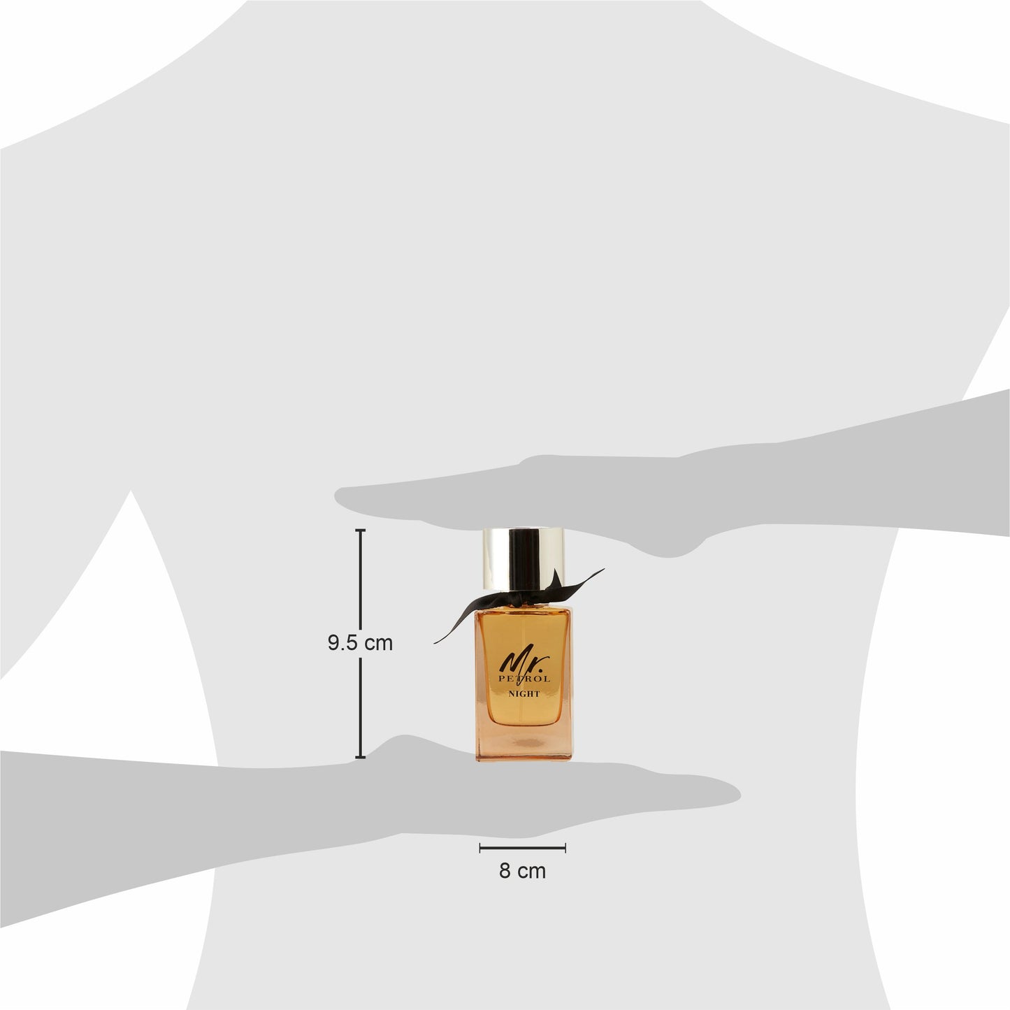 Mr. Petrol Night Perfume for Men - 100 MI