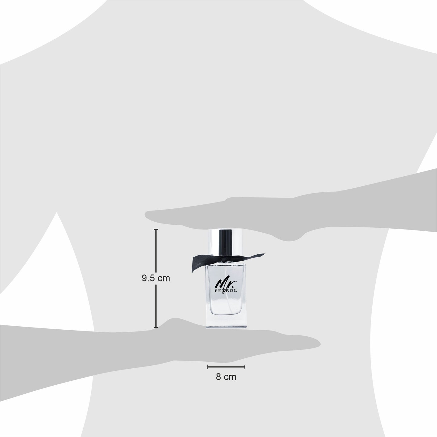 Mr. Petrol Silver Perfume for Men - 100 MI