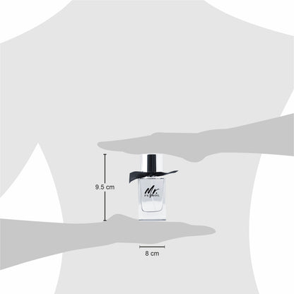 Mr. Petrol Silver Perfume for Men  - 100 MI